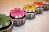 chocolate flower cups