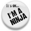 I&quot;m A Ninja!
