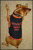 Pet Vest &quot;B*tches Love me