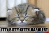 Kittyloaf