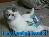 NintendoCat