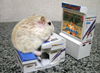 Hamster Arcade