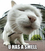 U has a smell!