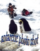 antarctic photo shot penguins