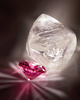 A Pink Diamond