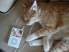 Pet Ipod