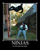 ninjas rule