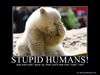 stupid humans