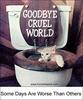 goodbye  cruel world