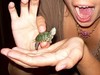 A teeny turtle 4 u!