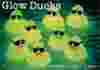 you own duck army