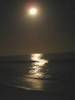 Moonlight Walk On The Beach