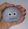 a pet-rock