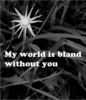 Bland World