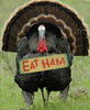Happy Turkey Day! (eat ham!)
