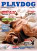 PLAYDOG Magazine