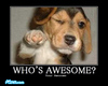 Who's awesome