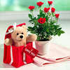 mini teddy and roses