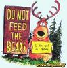 Do not feed the Bears!