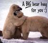 A BIG bear hug for you :)