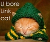 Bored Link cat