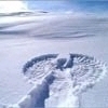 a snow angel!