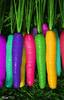 Rainbow Carrots:)