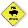 Pig Crossing