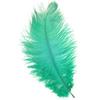 Ticklish Feather