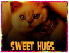 ~Hugsss~ For You