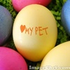 HAPPY EASTER MY PET