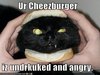 Kitty Burger