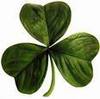 Luck of the Irish!