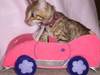 A Cute Pink Car