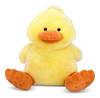 stuffed duckie