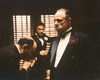 Don Corleone 