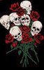 ♥ Skulls and Roses ♥