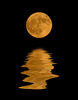 A swim under the harvest moon