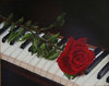 A red rose on the piano