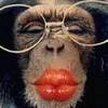 Big Fat Monkey Kiss! MWAH!!! 
