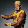 the hulkster