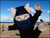 Ninja cat protects you!