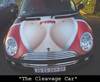 A Cleavage Car