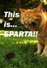 This is Sparta!!