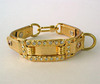 Gold and Diamond Dog Collar