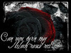 can you turn my black rose red?