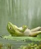 Chilling Frog