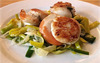 Fried scallop schell