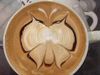 Butterfly Coffee