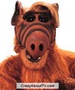 Alf